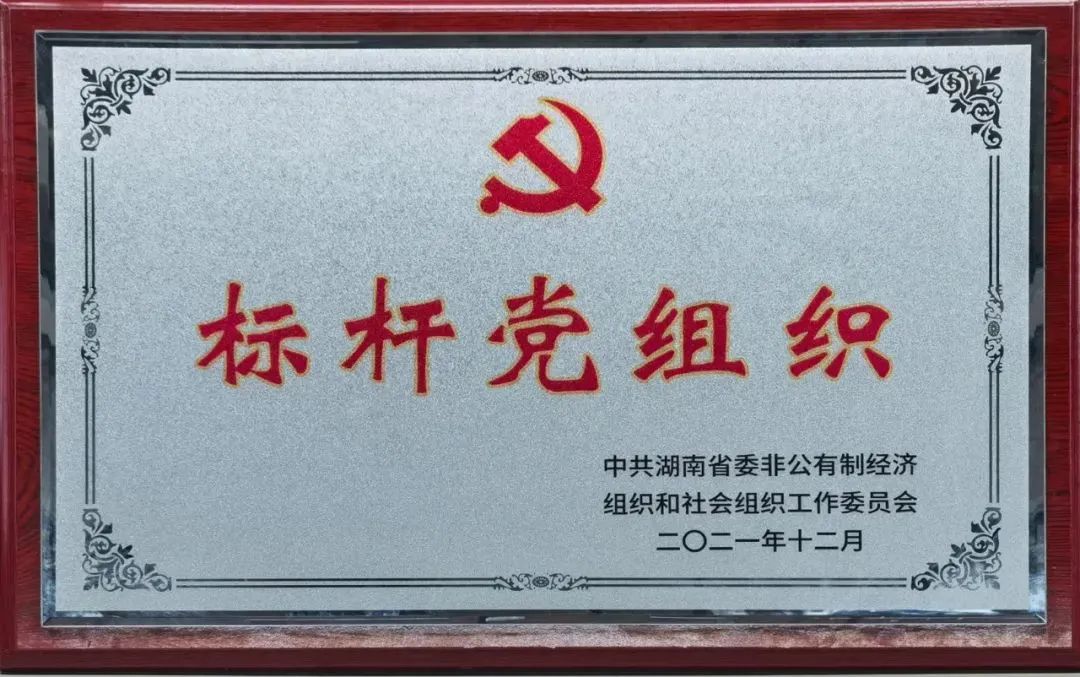 党建品牌亮起来！胜游网电脑版_胜游(中国)智能党委获评“标杆党组织”