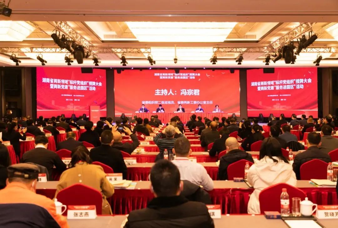 党建品牌亮起来！胜游网电脑版_胜游(中国)智能党委获评“标杆党组织”