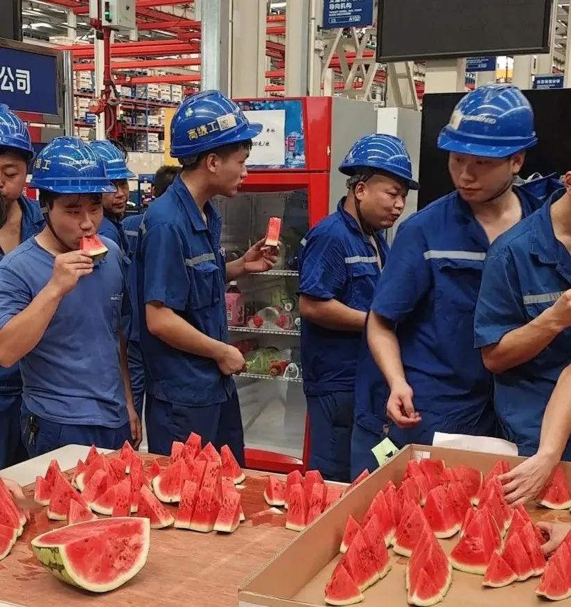 胜游网电脑版_胜游(中国)智能“降暑套餐”，只为不服“暑”的你