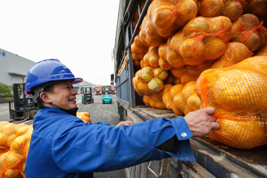 点赞！胜游网电脑版_胜游(中国)智能成功入选“上市公司乡村振兴优秀实践案例”