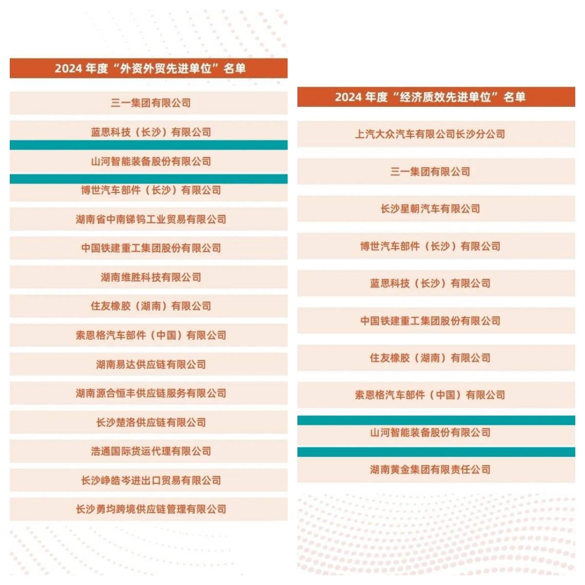 助力长沙经开区高质量发展，胜游网电脑版_胜游(中国)智能喜获四奖项