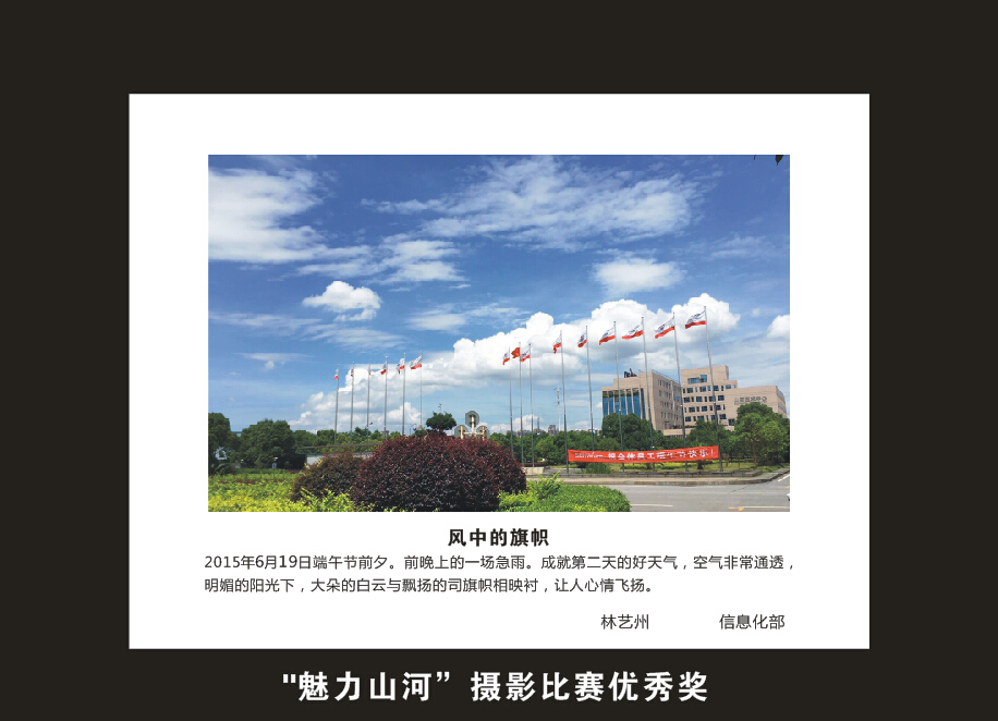胜游网电脑版_胜游(中国)智能成立16周年司庆活动“魅力胜游网电脑版_胜游(中国)”摄影比赛优秀作品展