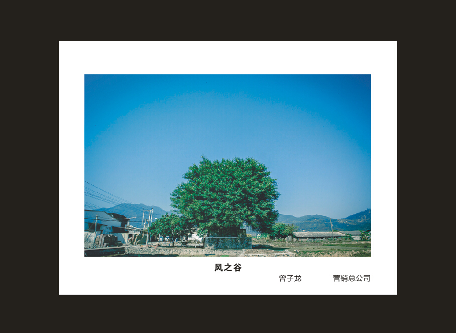 胜游网电脑版_胜游(中国)智能成立16周年司庆活动“魅力胜游网电脑版_胜游(中国)”摄影比赛优秀作品展