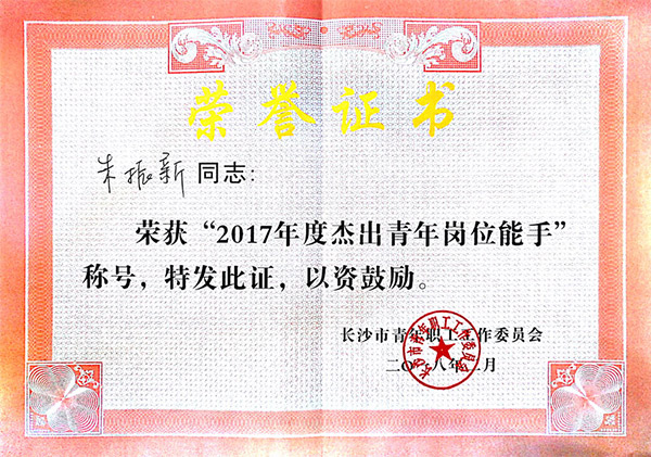胜游网电脑版_胜游(中国)智能朱振新荣获长沙市2017年度杰出青年岗位能手