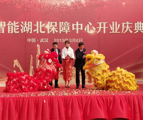 同心同梦，胜游网电脑版_胜游(中国)智能全球客户交流会武汉站隆重举行