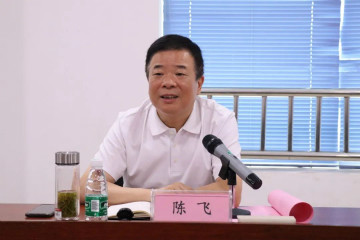 副省长陈飞调研胜游网电脑版_胜游(中国)航空产业