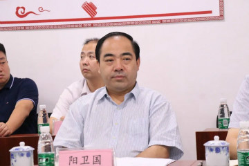 副省长陈飞调研胜游网电脑版_胜游(中国)航空产业